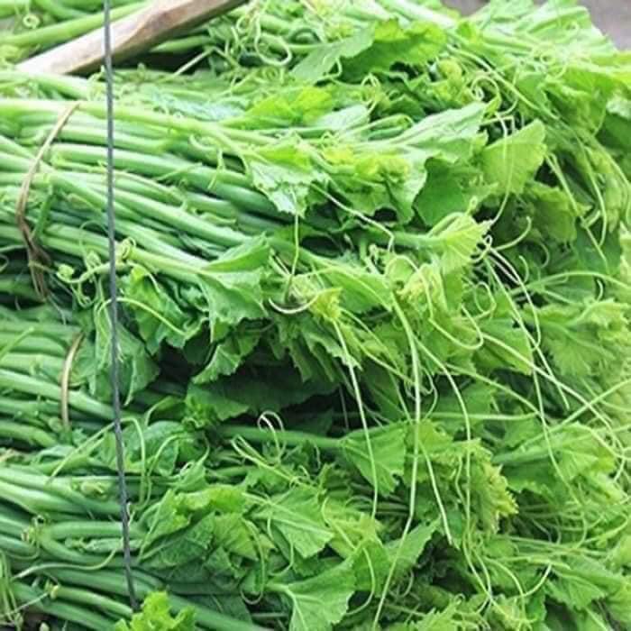 HẠT GIỐNG BÍ SIÊU NGỌN CAO SẢN VIỆT Á