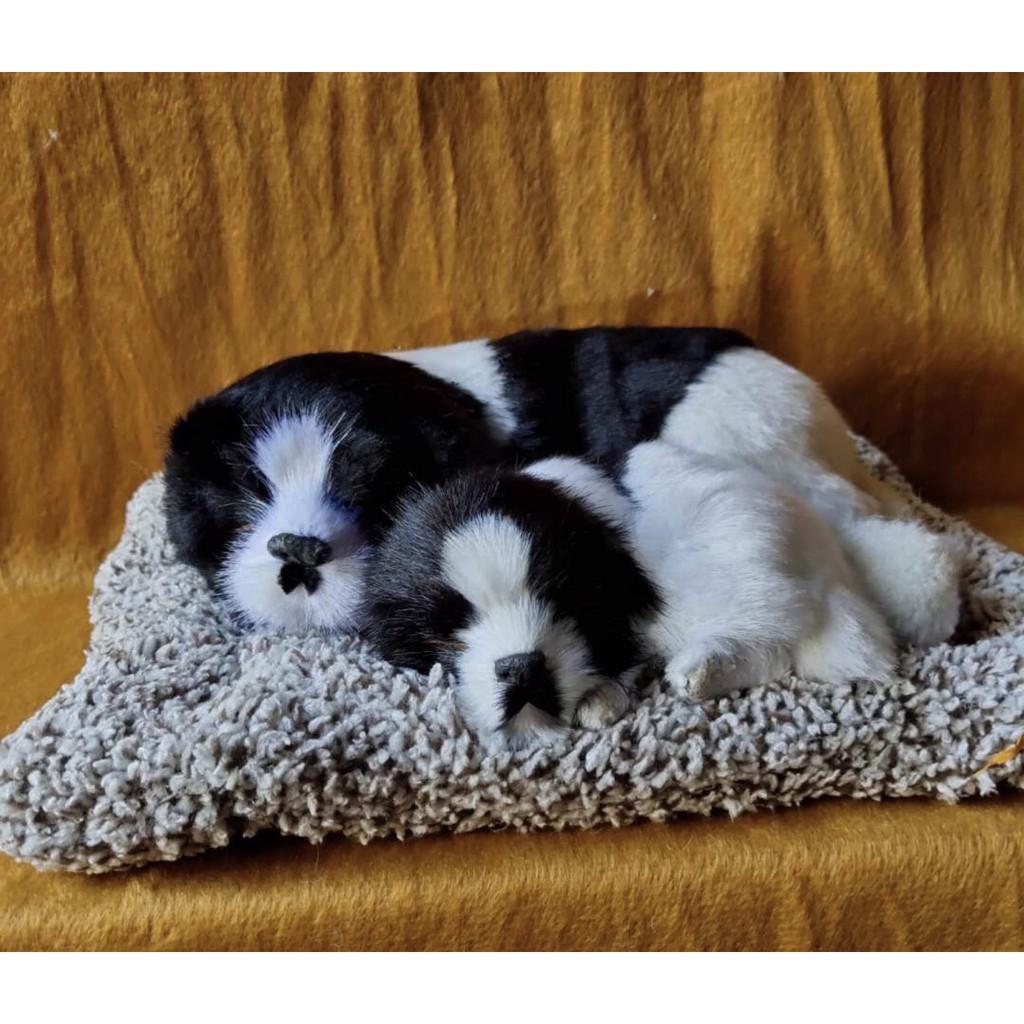 CHÓ BÔNG THAN HOẠT TÍNH TRANG TRÍ Ô TÔ