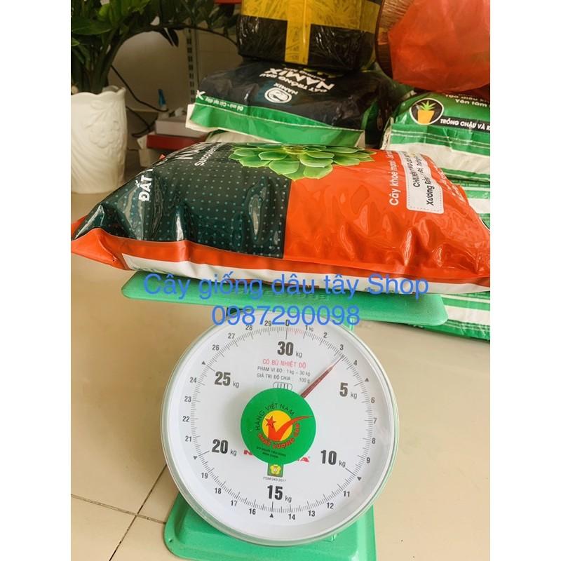 Đất trồng xương rồng, sen đá Namix Succulents Potting Mix
