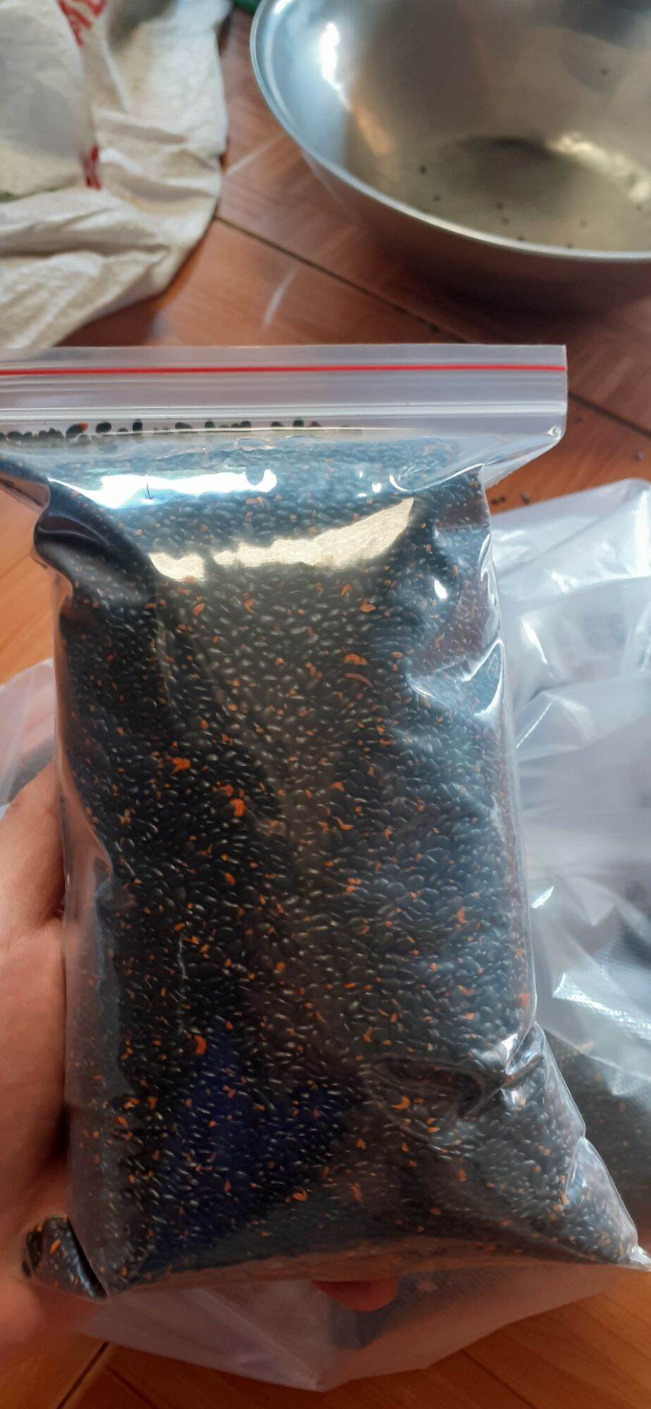 Hạt giống keo tai tượng Úc trồng rừng, cải tạo đất - túi 500 gram