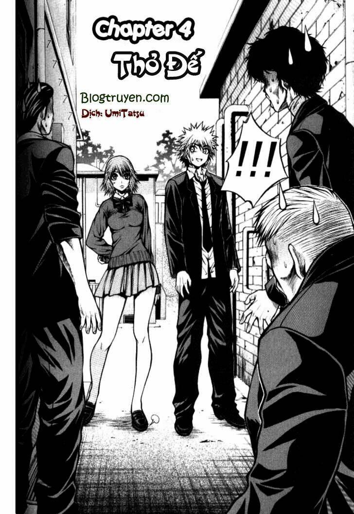 zippy ziggy chapter 4 1