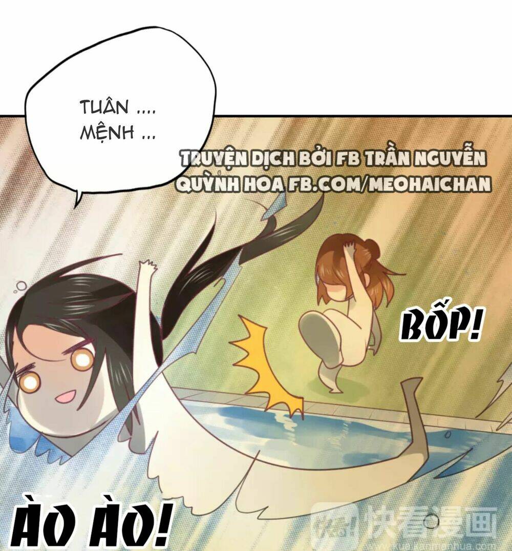 thái tử bong bóng chapter 8 37