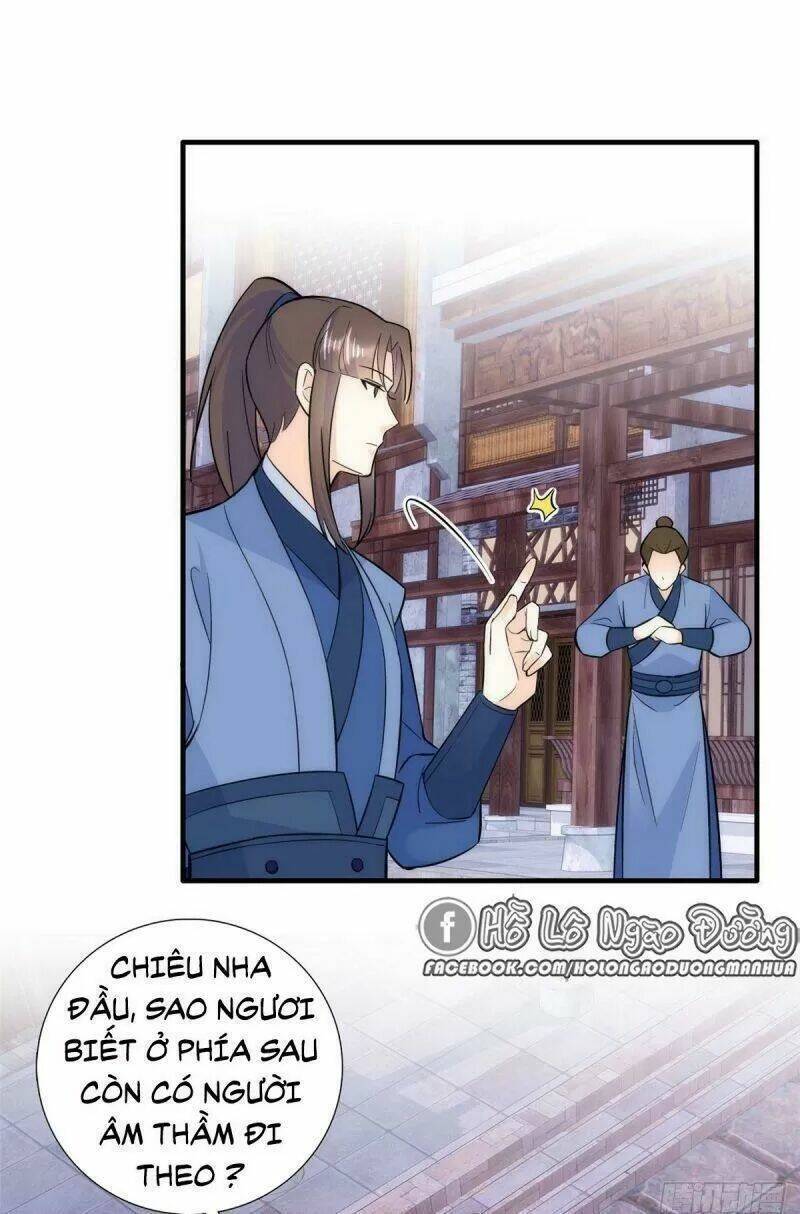 thiều quang mạn chapter 66 11