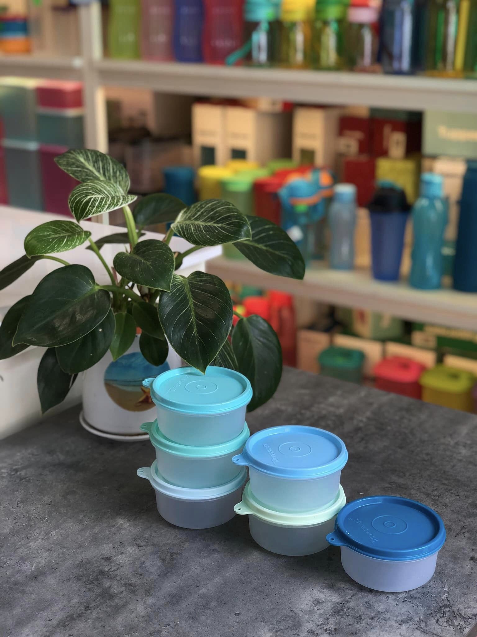 Bộ hộp BQTP Pastel Small Server 200ml TUPPERWARE HÀNG CHÍNH HÃNG