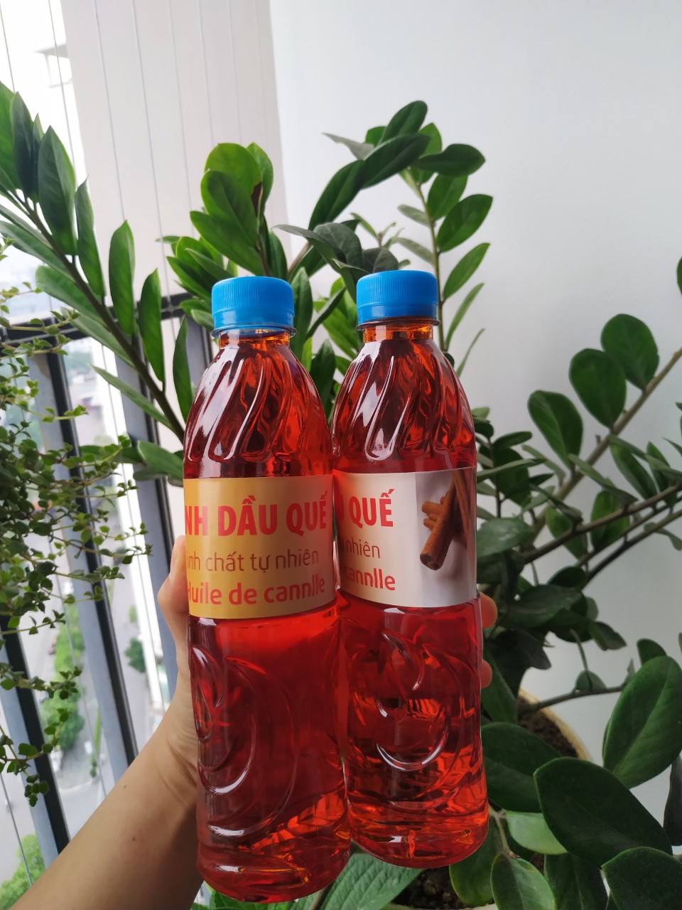 Tinh dầu quế lau nhà, chai 500ml