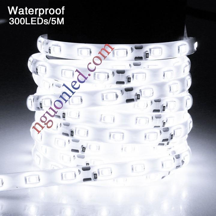 Đèn led dây dán 5m 5050 trắng loại tốt