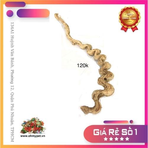 Lũa trang trí chuồng bò sát, hồ thuỷ sinh