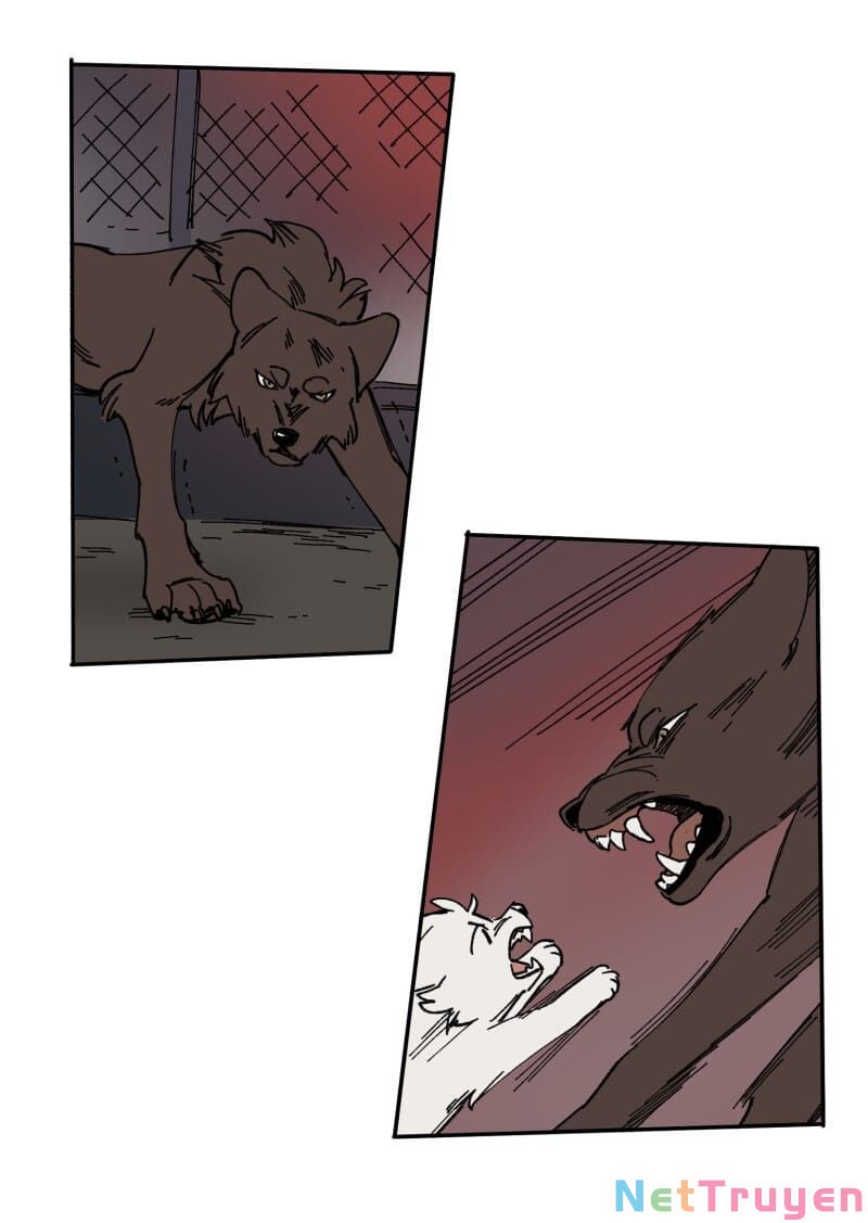 lumine - cội nguồn ánh sáng chapter 112 39