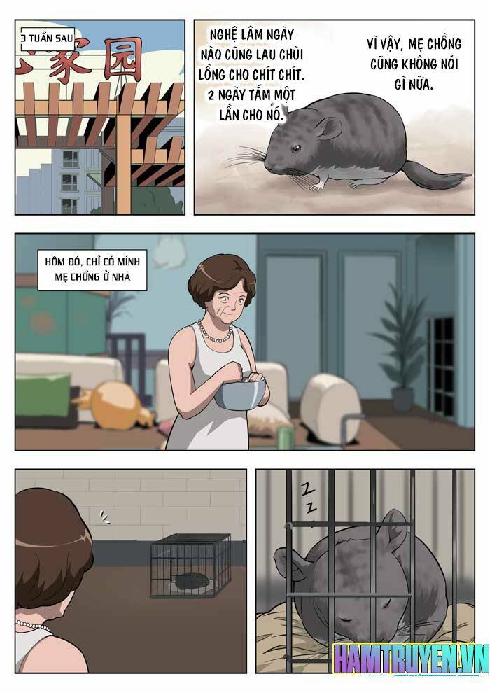 ngụy thủy nghi vân chapter 18 6