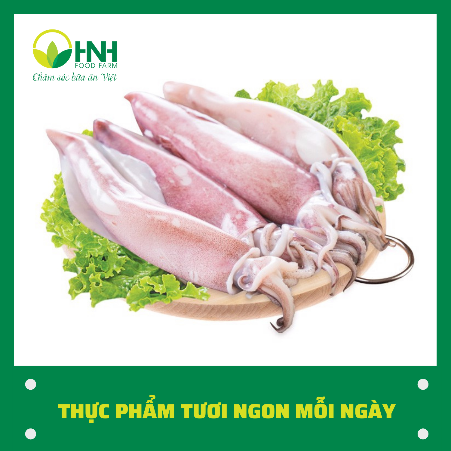 Mực tươi 6-8 con/kg