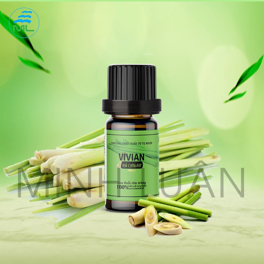 Tinh dầu sả chanh thiê nhiên Vivian 10 ml