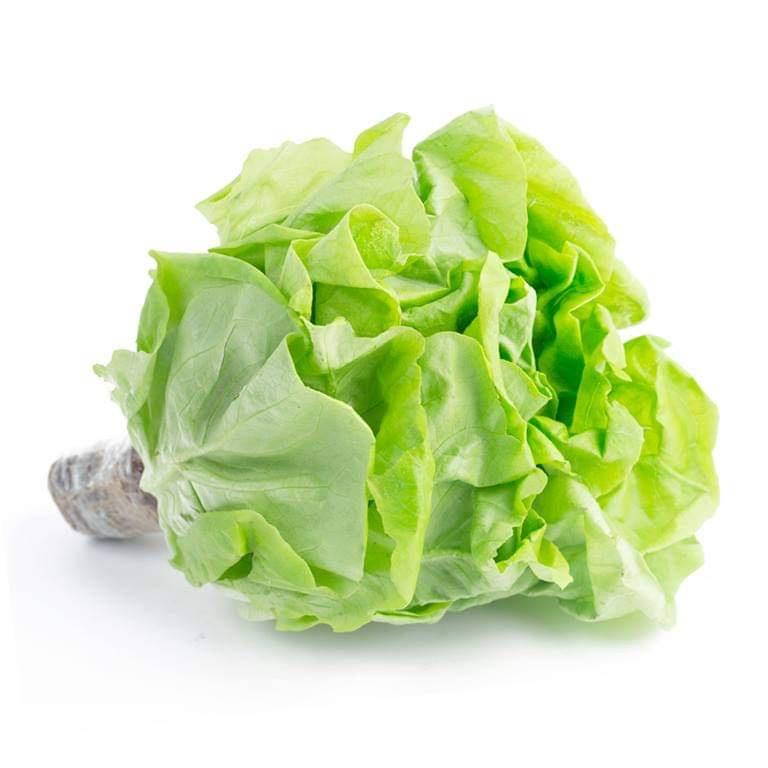 Hạt giống Xà lách búp dễ trồng nhanh thu hoạch