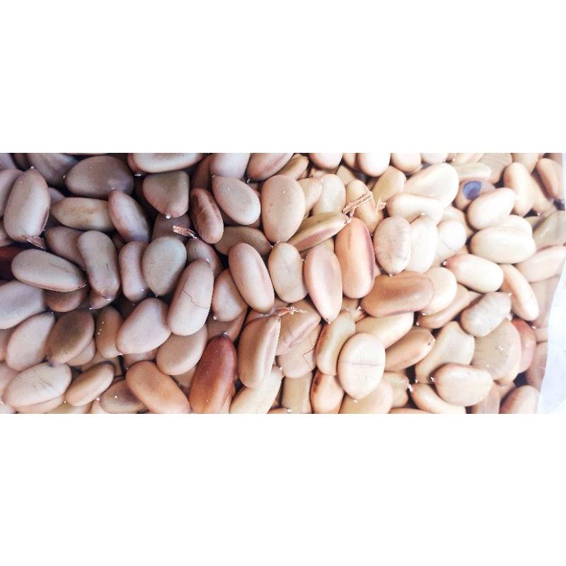 500 gram hạt keo gai
