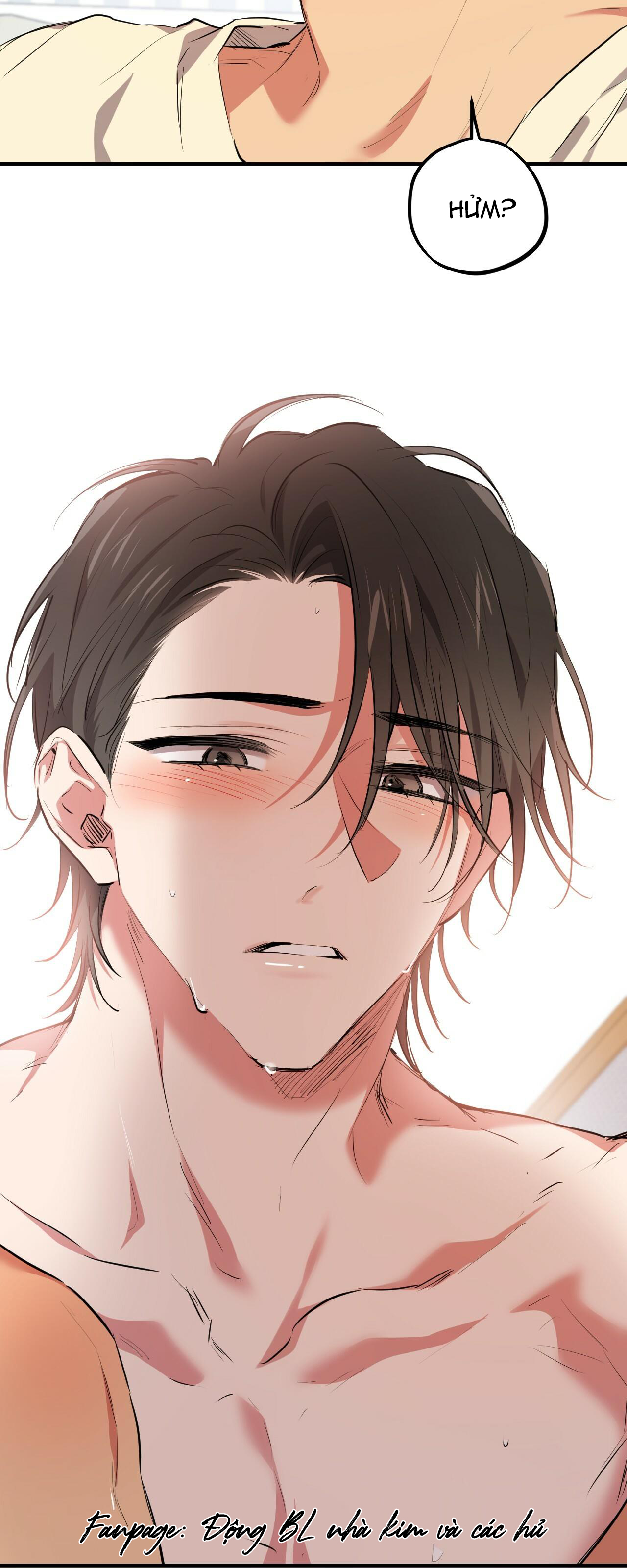 những chú thỏ của hapypy chapter 38 40