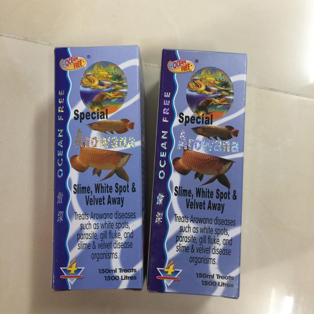 CÁ RỒNG CHAI SỐ 4 OCEAN FREE