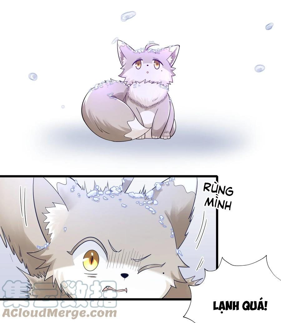 tức thời phạm quy [ tức thì vi quy ] chapter 27 2