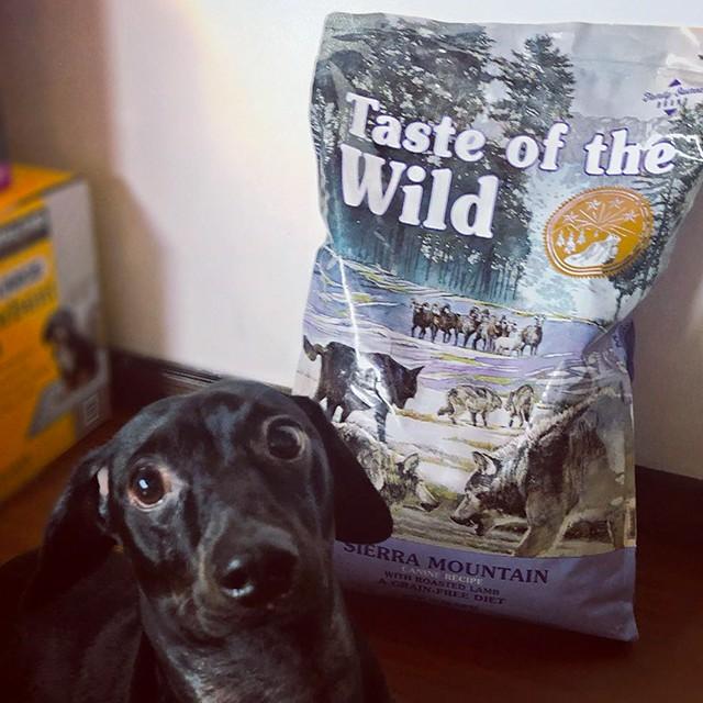 Thức Ăn Cho Chó Labrador Taste Of The Wild Bao 2kg - Sierra Mountain Thịt Cừu, Trái Cây Rau Củ Quả