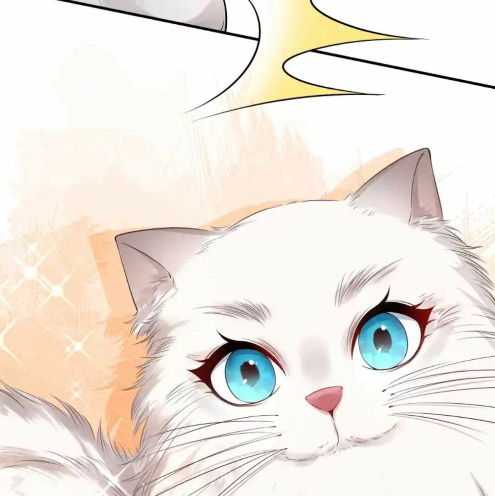 nam thần ai cũng muốn lấy ta chapter 26 36