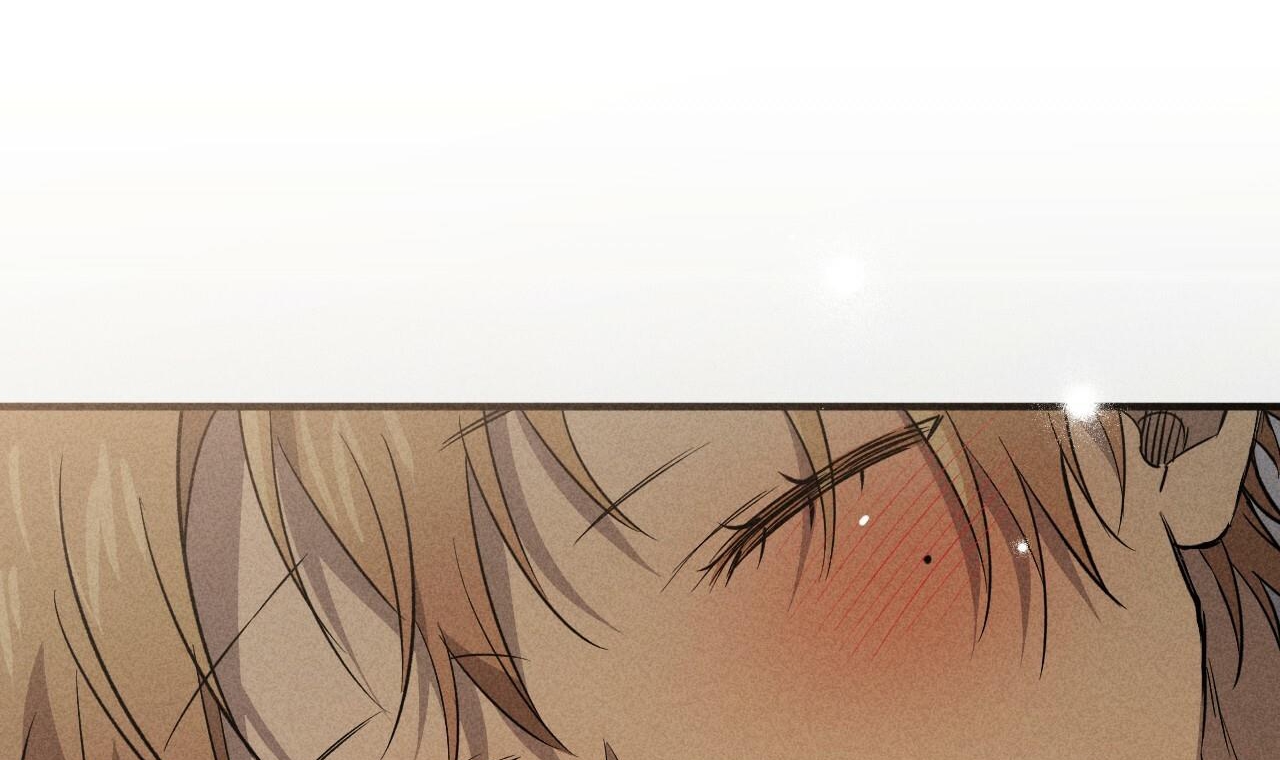 đàn thỏ của habibi chapter 55 156