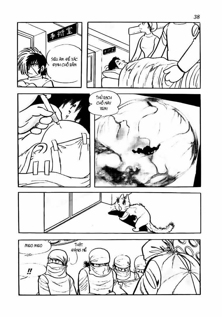 bác sĩ quái dị chapter 61 14