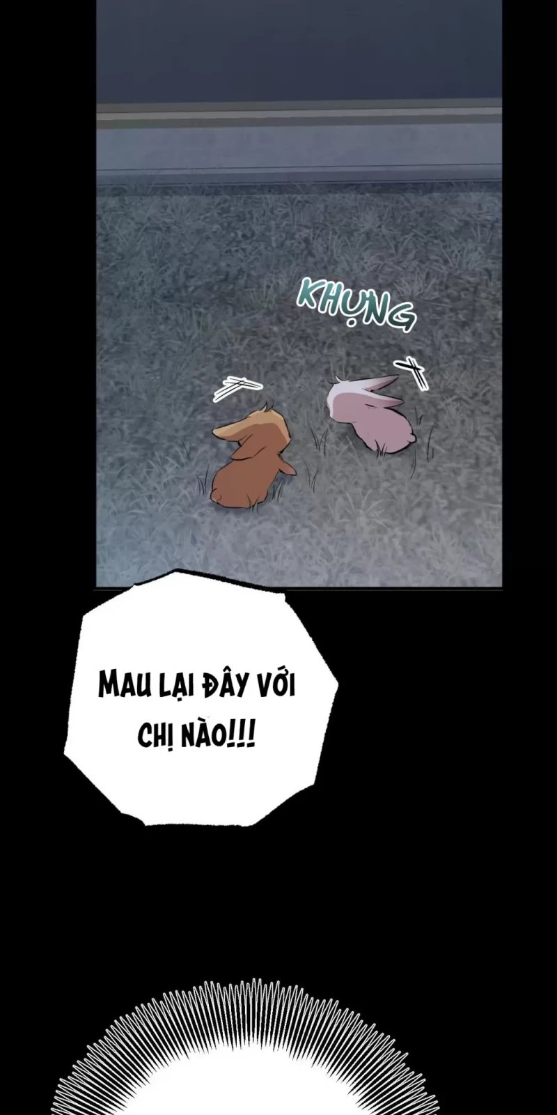 những chú thỏ của hapypy chapter 31.5 39