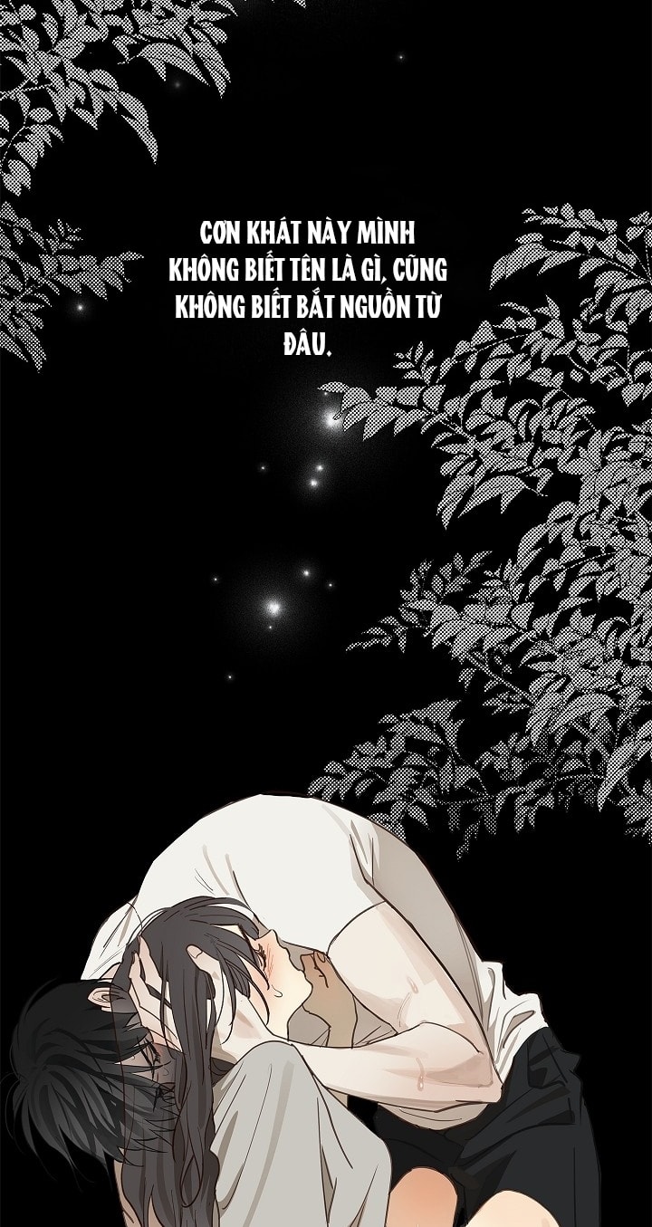 [18+] hoa là mồi nhử chapter 14.2 37