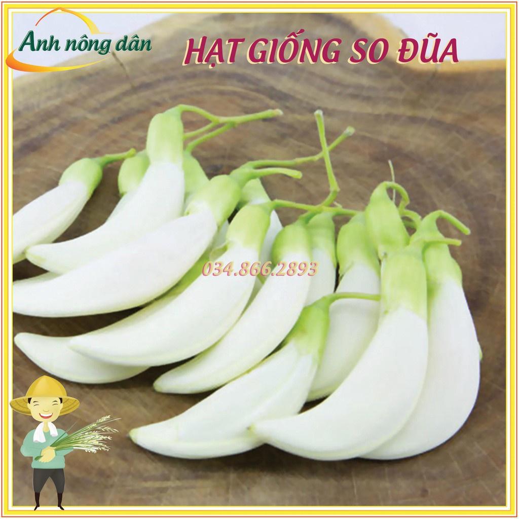 100g Hạt giống cây so đũa tứ quý thái - Tỷ lệ nảy mầm cao, cây sinh trưởng nhanh, dễ trồng