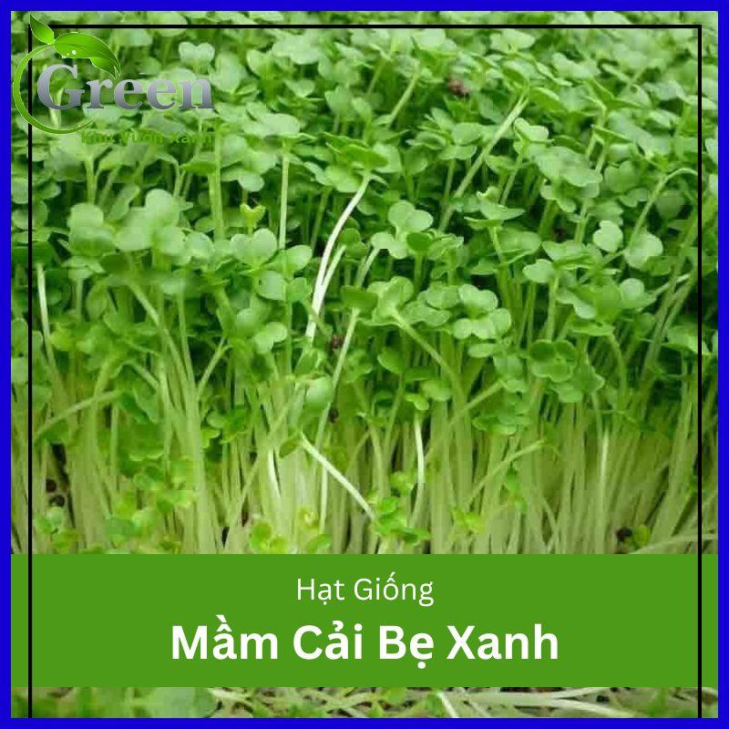 Hạt Giống Rau Mầm Cải Bẹ Xanh
