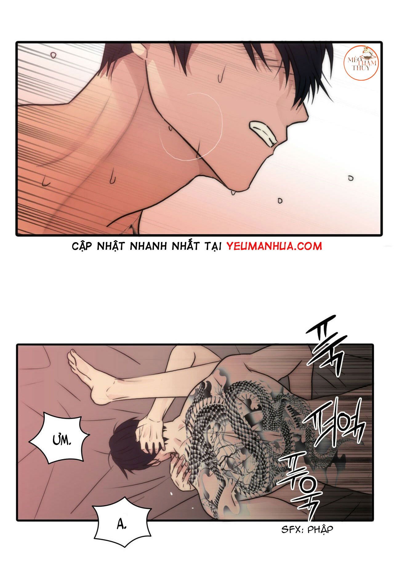 giai điệu của ngôn ngữ chapter 27 62