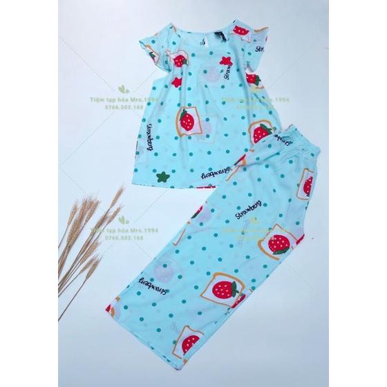ĐỒ BỘ MẶC NHÀ QUẦN DÀI 9 TẤC VẢI LANH LỌAI 1 CAO CẤP