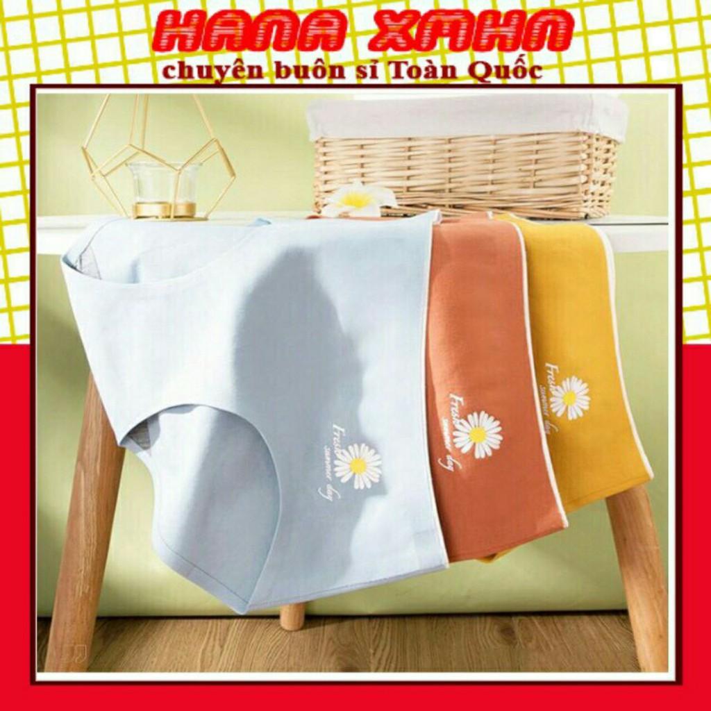 Quần Lót Cotton Không Đường May Hoa Cúc