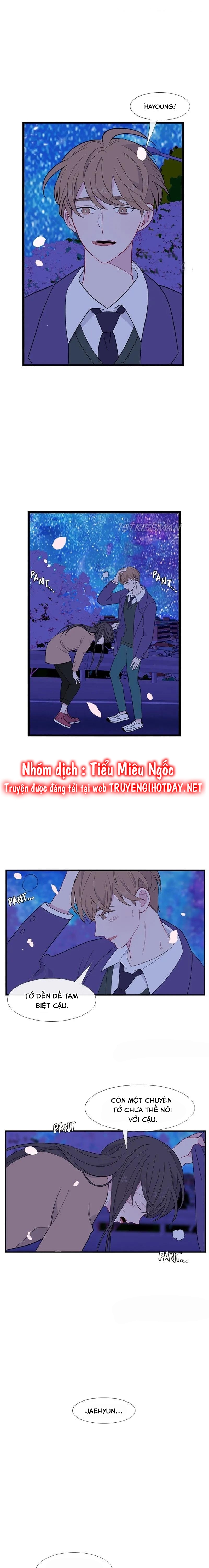 quay lại nhé chapter 108 12