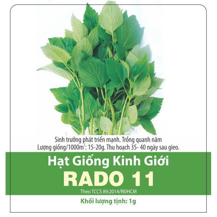 Hạt giống Kinh giới 11