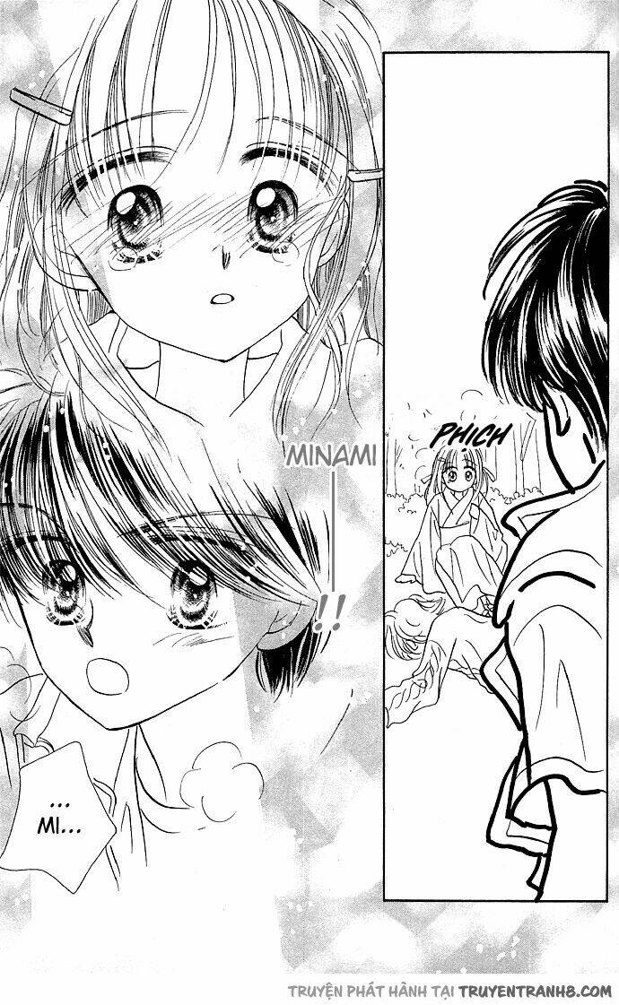 milk to vitamin chapter 8 61