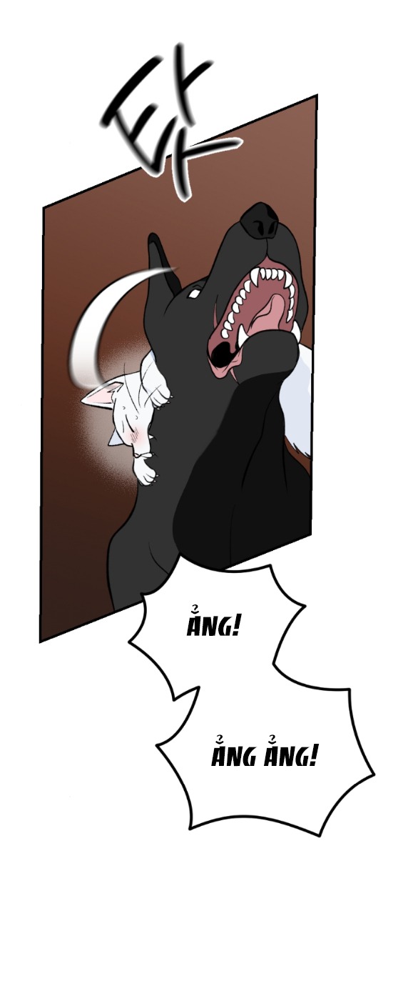 [18+] chuyện mèo trắng bị ba tước báo đen ăn thịt chapter 8.2 3