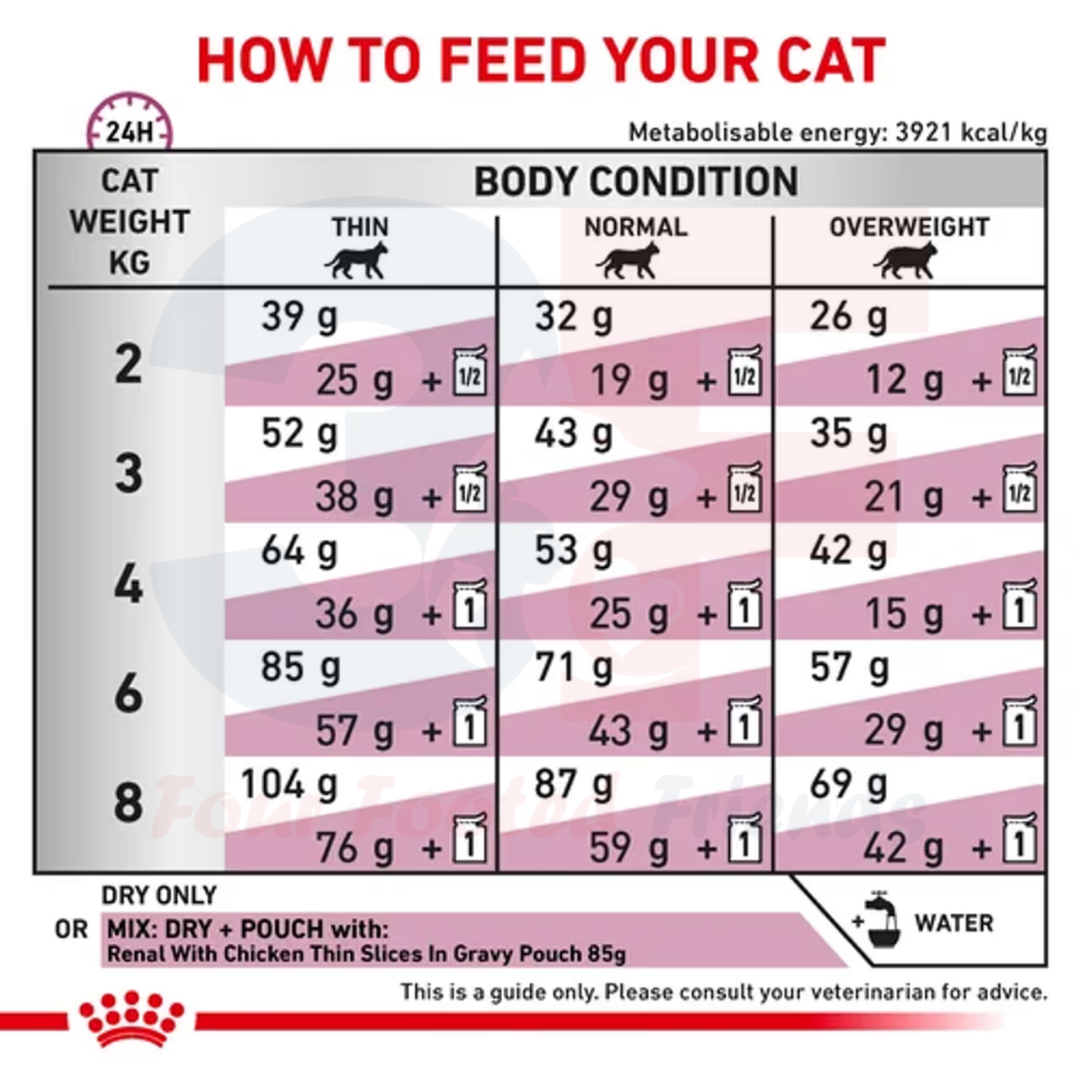 Thức Ăn Hạt Cho Mèo Bị Suy Thận Royal Canin Renal Feline