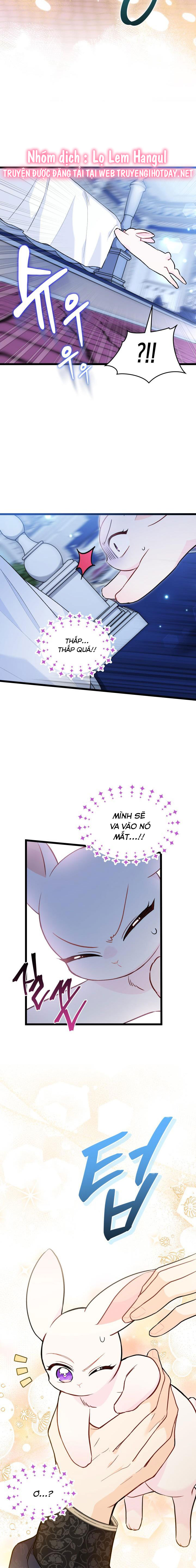 mối liên kết giữa báo đen và bé thỏ chapter 130 12