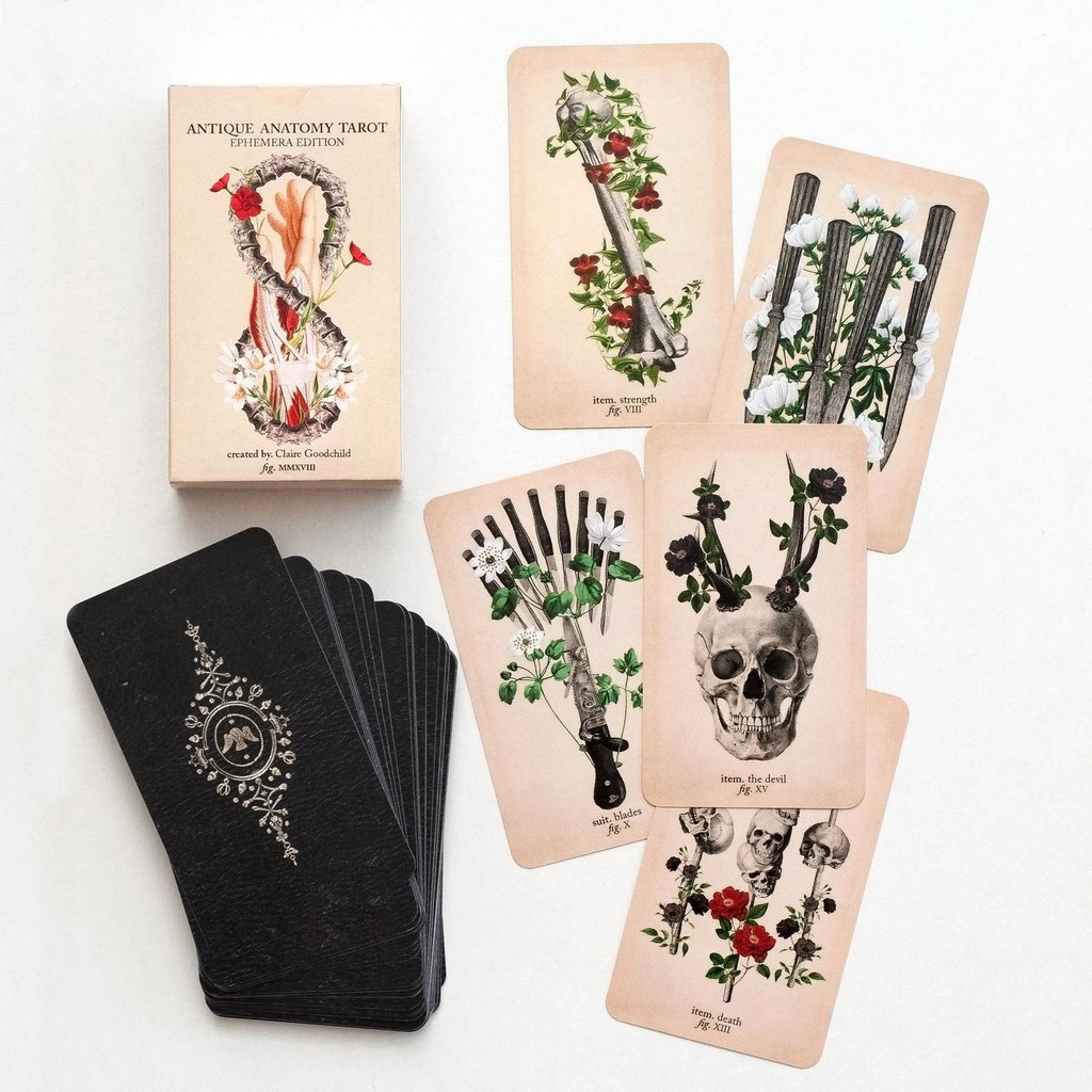 Hình ảnh Bộ bài The Antique Anatomy Tarot T16