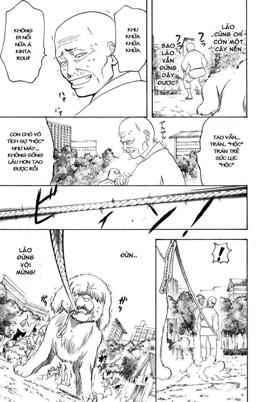 gintama - linh hồn bạc chapter 209 13
