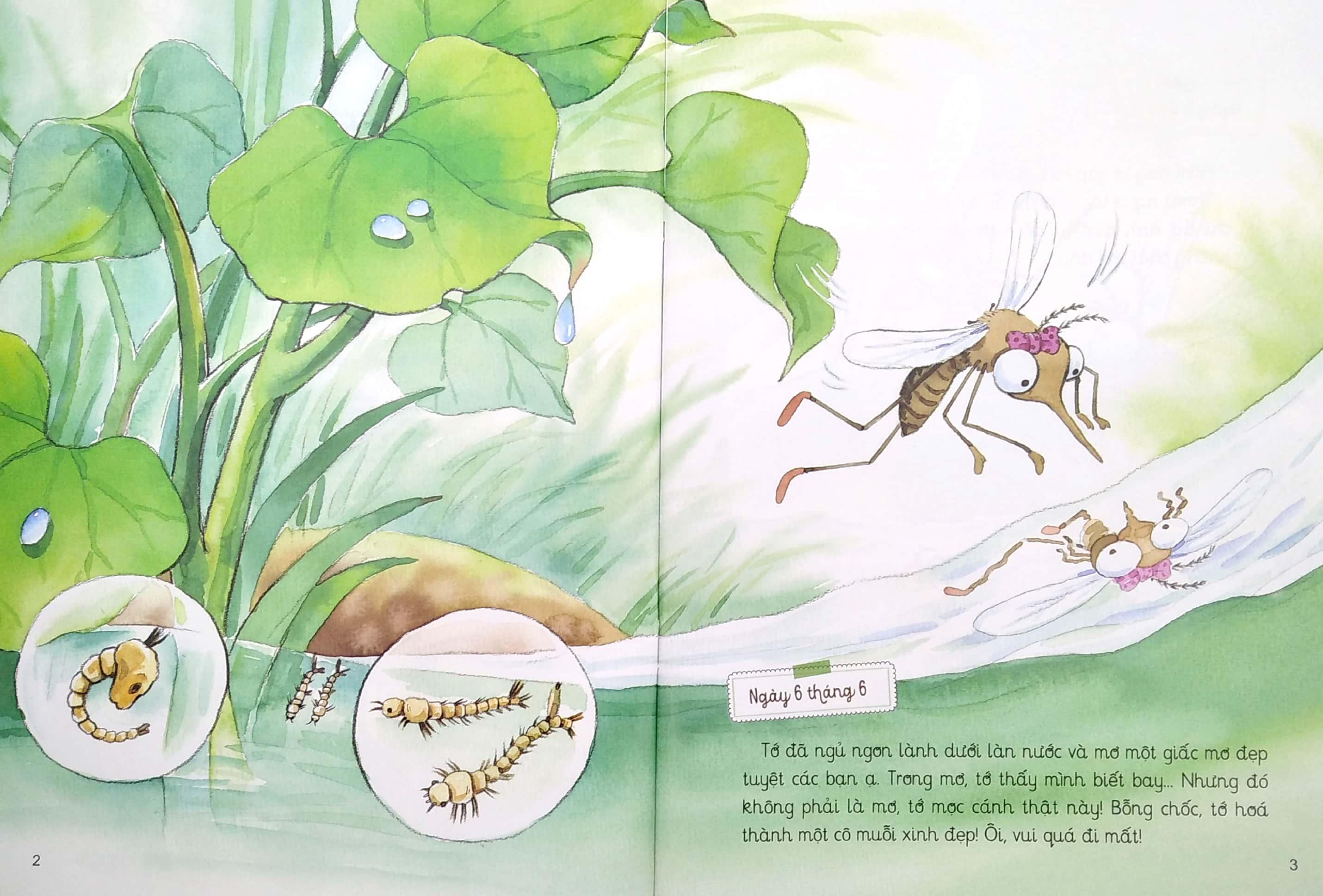 Nhật Kí Thế Giới Côn Trùng: Nhật Kí Muỗi