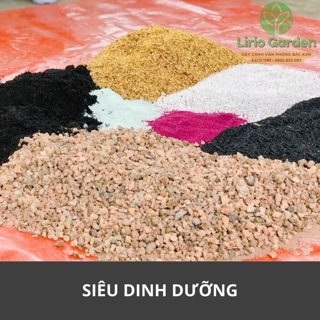 500g đất trồng sen đá , xương rồng