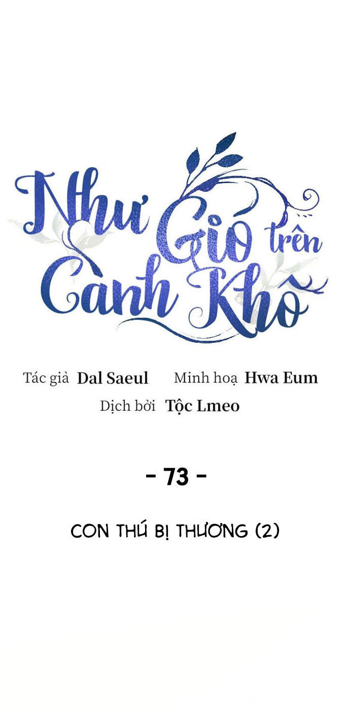 như gió trên cành cây khô chapter 73 51