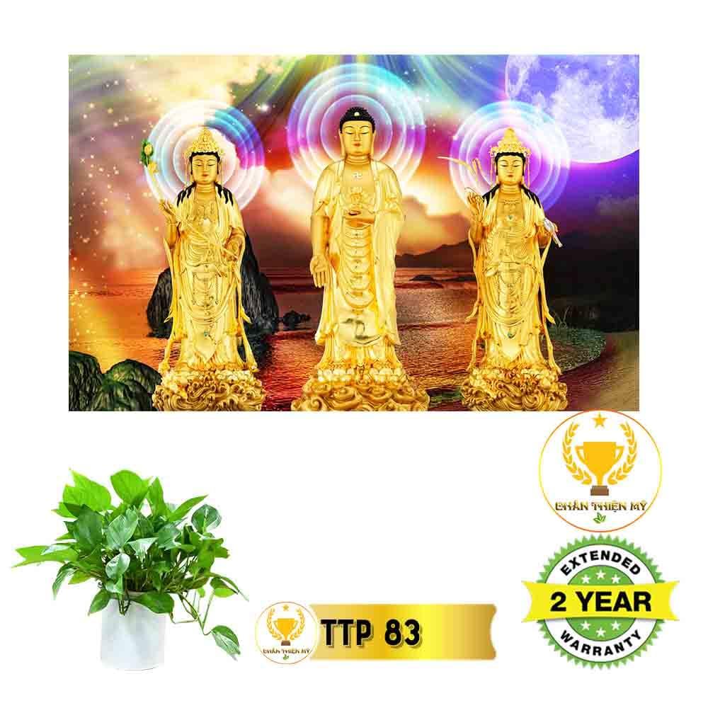 Tranh điện Tam Thế Phật_TTP9