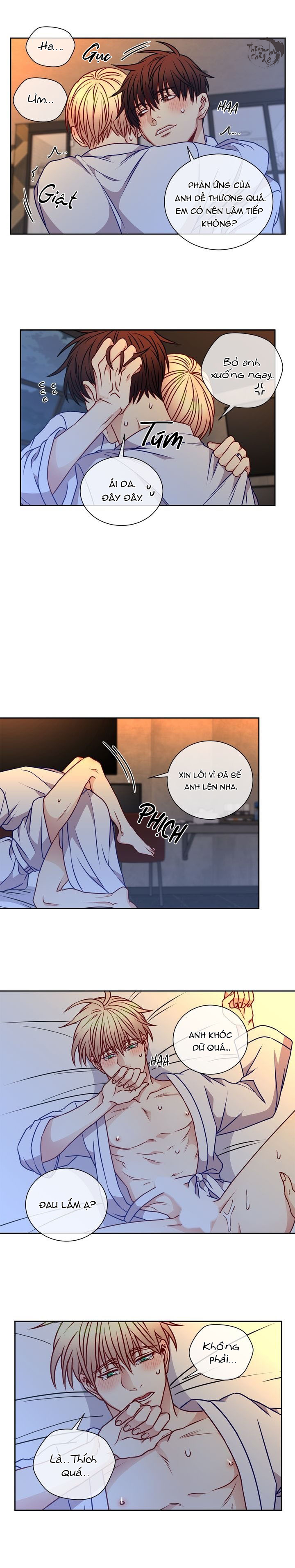 tựa như tình đầu chapter 48 9