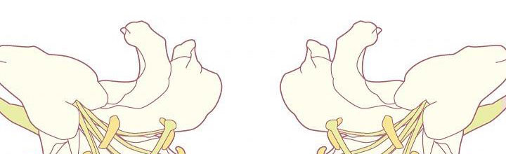 phía sau em, luôn có ta bên cạnh chapter 36.1 174