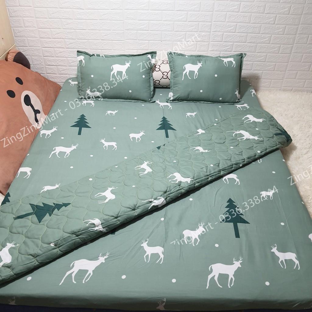 Bộ chăn hè Ga Gối Chất Đẹp Nhiều Mẫu m6/m8/2m2