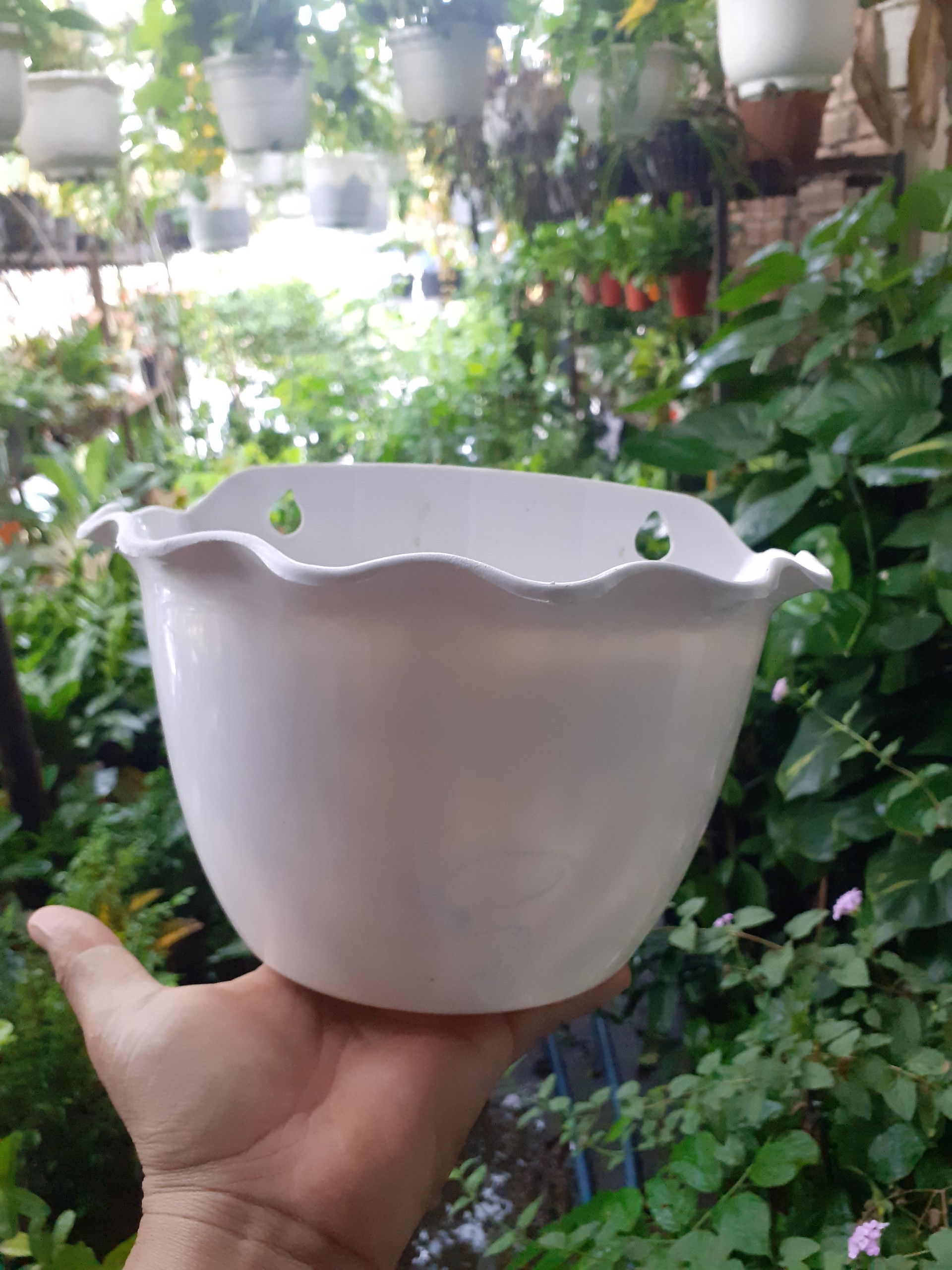 Chậu nhựa ốp tường trồng cây KIỂU BÈO nhúng xinh xinh