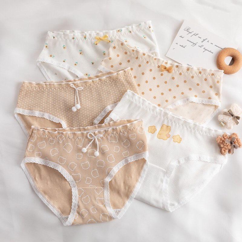Quần lót cotton nữ mẫu gấu vàng bi