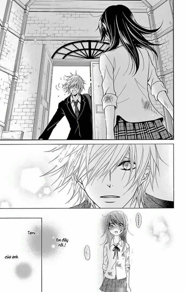 điện kích daisy chapter 72 16