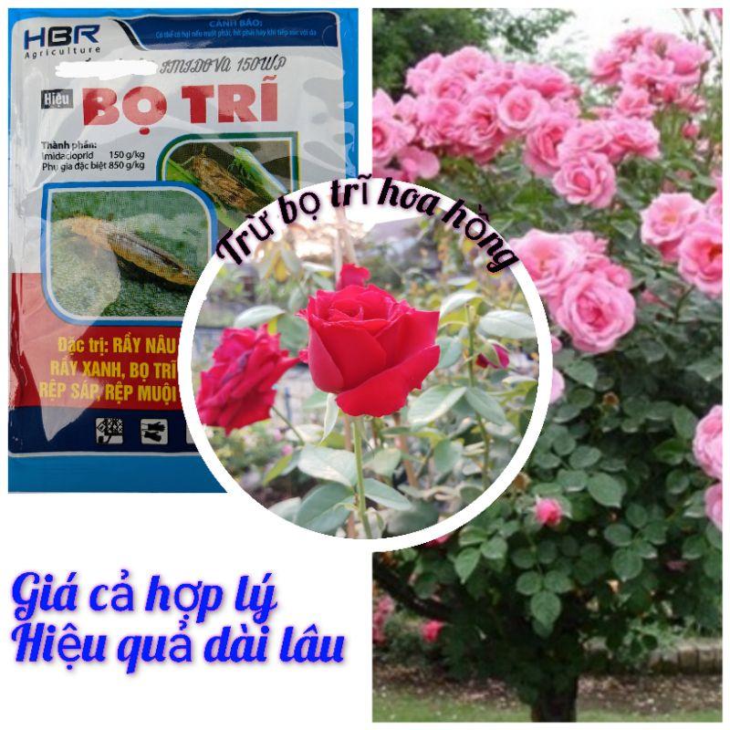 Chế phẩm bọ trĩ ( gói 12g) trên hoa hồng và dưa bầu bí